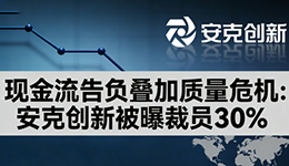 现金流告负叠加质量危机：某品牌被曝裁员30%，跨境巨头渡劫2025