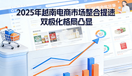 2025年越南电商市场整合提速 双极化格局凸显