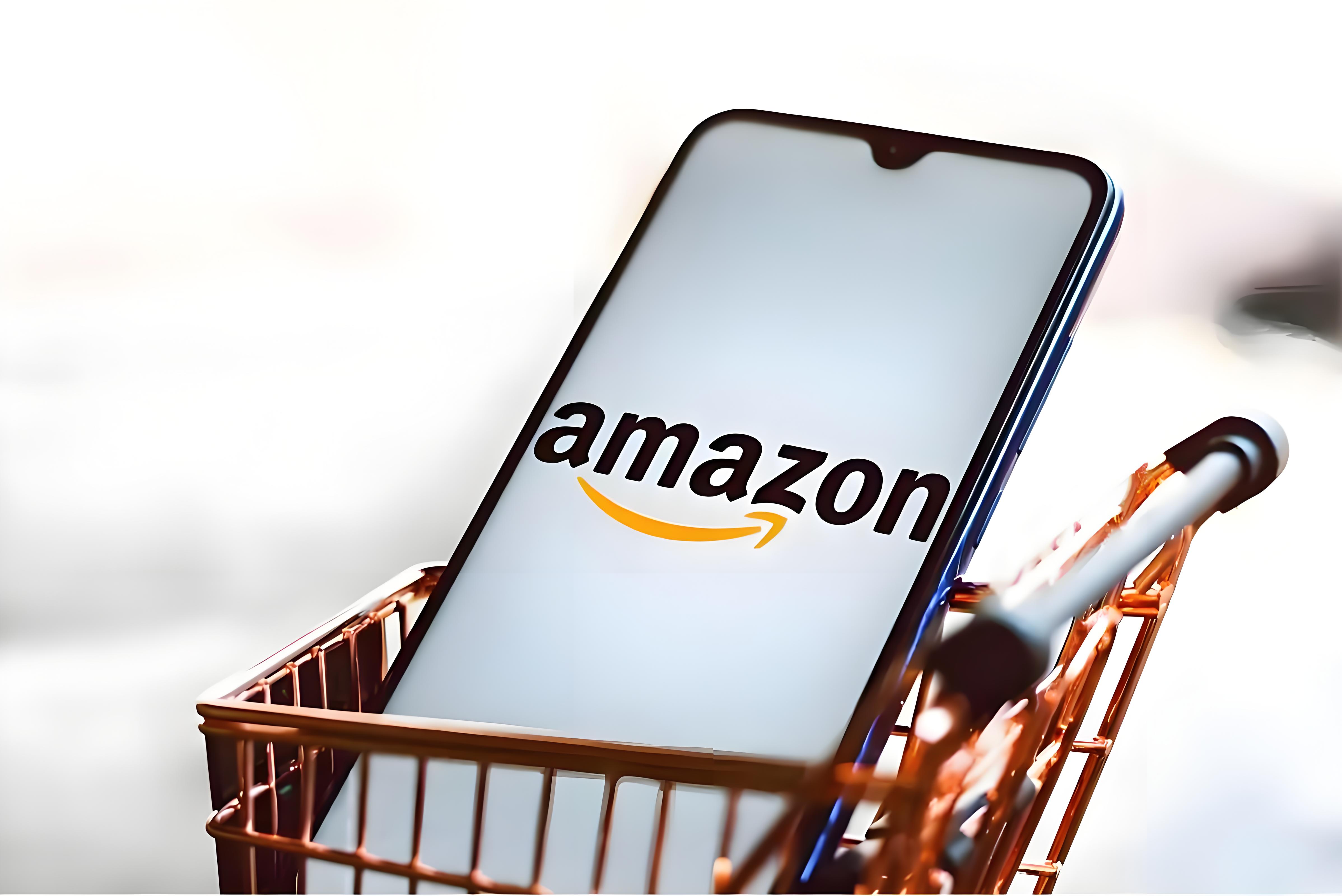 亚马逊推出标杆新卖家孵化计划 助力新品牌规模化出海